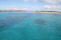 Katamaranausflug - Cayo Blanco