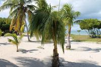 Katamaranausflug - Cayo Blanco