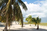 Katamaranausflug - Cayo Blanco