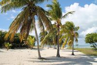 Katamaranausflug - Cayo Blanco