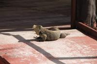 Katamaranausflug - Cayo Blanco