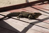 Katamaranausflug - Cayo Blanco