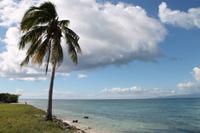 Katamaranausflug - Cayo Blanco