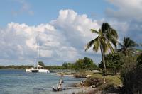Katamaranausflug - Cayo Blanco