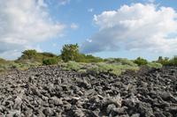 Katamaranausflug - Cayo Blanco