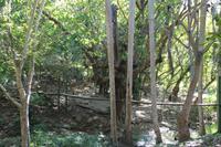 Wanderung Sierra del Escambray