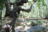 Wanderung Sierra del Escambray