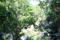 Wanderung Sierra del Escambray