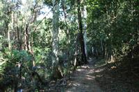 Wanderung Sierra del Escambray