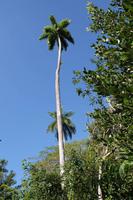 Wanderung Sierra del Escambray