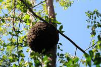 Wanderung Sierra del Escambray