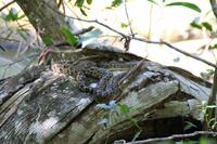Wanderung Sierra del Escambray