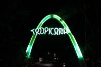 Tropicanashow in Havanna