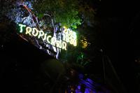 Tropicanashow in Havanna