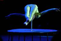 Tropicanashow in Havanna