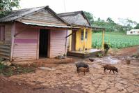 kleine Wanderung im Vinales Tal