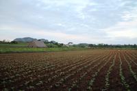 kleine Wanderung im Vinales Tal