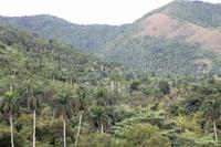 Orchideengarten in Soroa