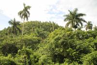 Fahrt nach Las Terrazas 