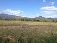 Valle de los Ingenios10