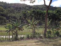 Sierra del Escambray21