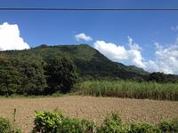 Sierra del Escambray27