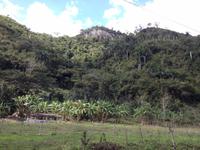 Sierra del Escambray28