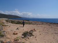 An der Karibikküste