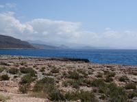 An der Karibikküste