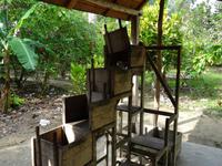 Finca Duaba - Kakaoproduktion