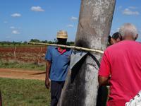 Zuckerrohrsaftgewinnung