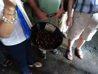 Pinar del Rio - Guayabita-Fabrik