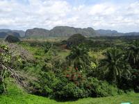 Vinales Tal