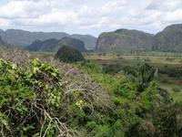 Vinales Tal