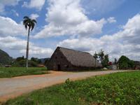 Vinales Tal - Tabakhaus