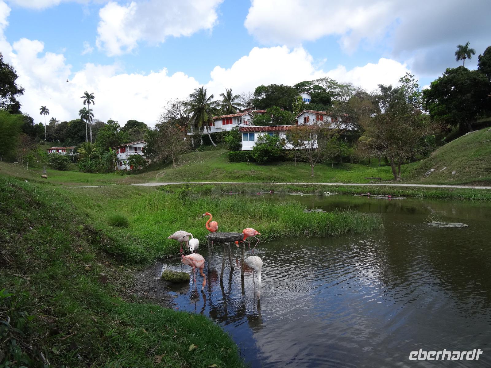 Nationalpark Las Terrazas