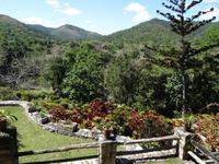 Soroa - Orchideengarten