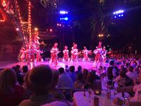 Havanna - Tropicana Show