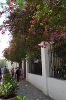 Stadtrundgang Havanna