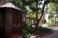 Stadtrundgang Havanna