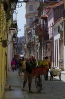 Stadtrundgang Havanna Blumenverkäufer