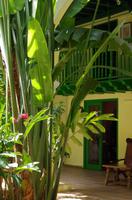 Stadtrundgang Havanna Innenhof