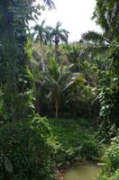 Nach der Tropfsteinhöhle Cueva del Indio 