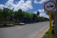 Kutsche fahren verboten