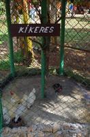 Kikeres :)
