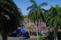 Blick vom Palacio de Valle