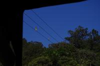 Überall kann man wachsen