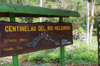 Wanderung im tropischen Wald