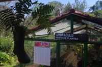 Verkauf von Pflanzen