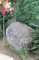 Grand Piedra in Miniatur